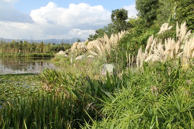 西部最美的地方转个圈