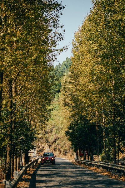 千岛湖边最美乡村自驾线路,你再不去他们就都