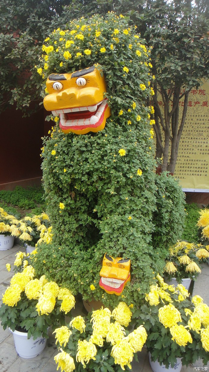 二零一四年开封第三十二届菊花展