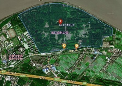 活动地址:浦东新区高桥镇凌桥高沙滩3号(滨江森林公园)