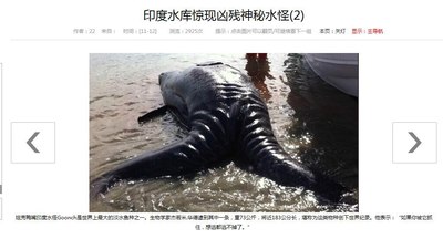 世界上最大的水怪