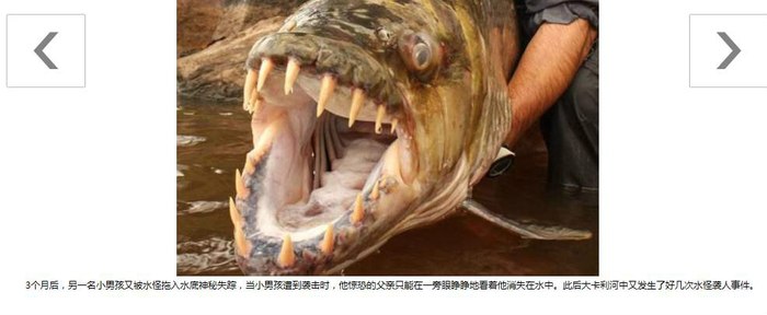 印度水库惊现凶残神秘水怪!有图,吃人的鱼!
