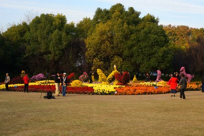 【厚蕴勤耕 菊花满园---2014上海菊花展】