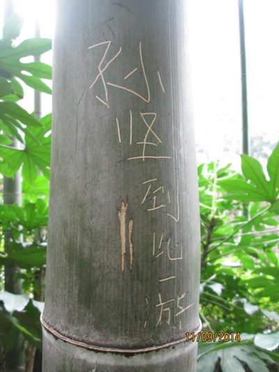 明星3+1,一同去郊游--周末南京-宜兴之旅