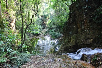 广州花都王子山森林公园一日游