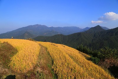 九龙峰风光无限,角峰村梯田委婉