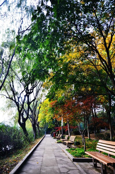 绍兴稽山公园之初冬
