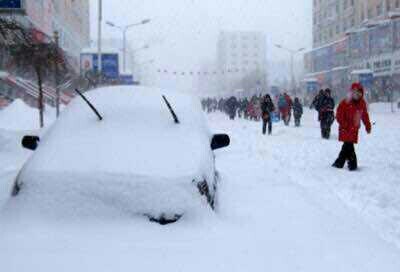 我的家在东北,那里有大雪和老虎
