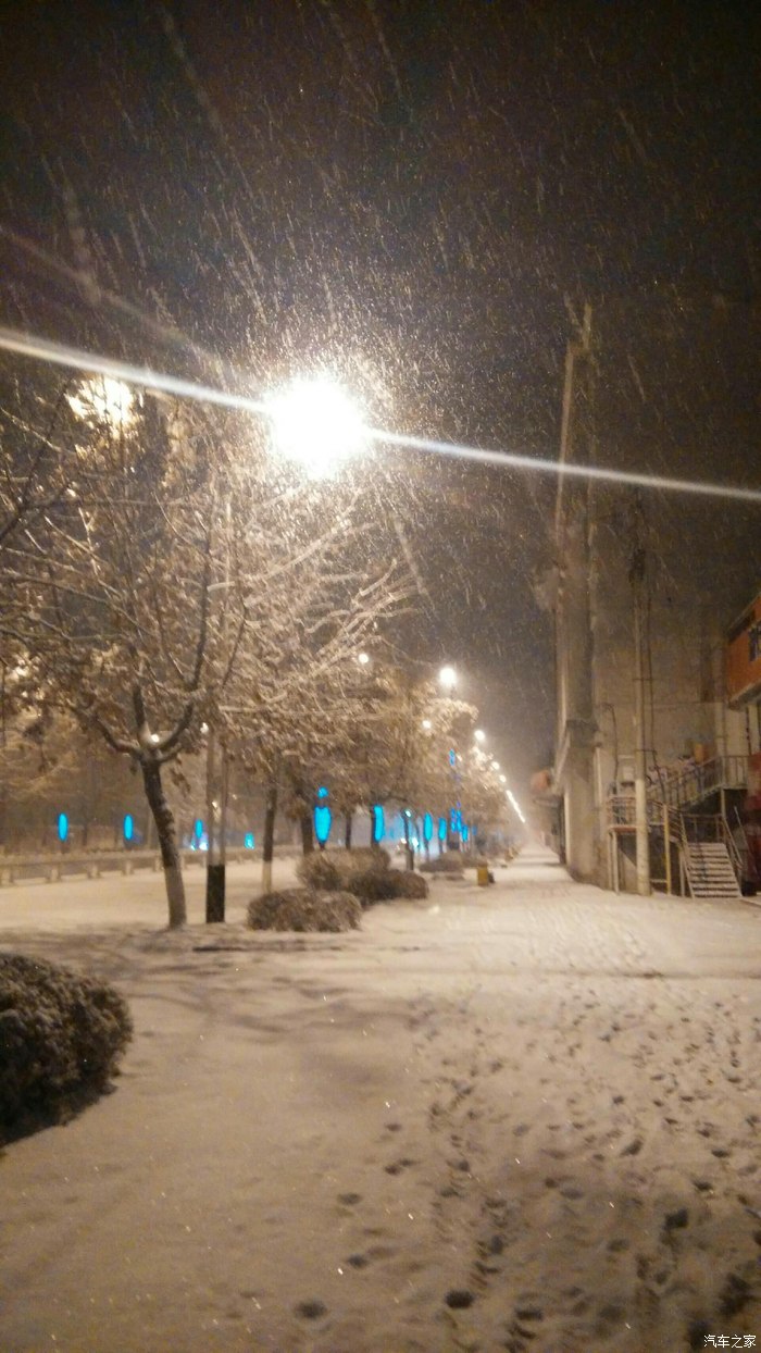 【图】雪下的那么深,下的那么认真