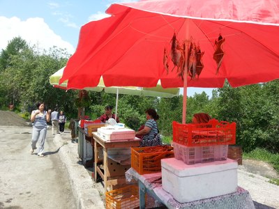 带上86岁老妈,穷游欧亚34国,吃住车上。_自驾