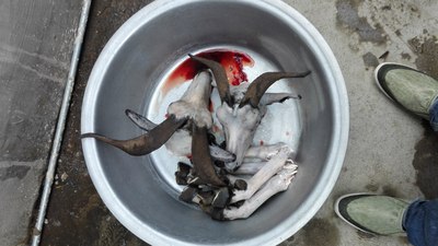 吃草莓是一件幸福的事!