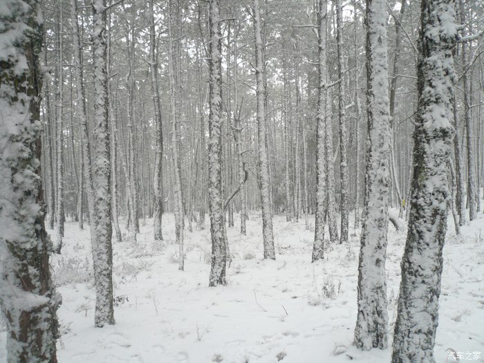 【图】2015年攀枝花的第一场雪--方山半日游雪