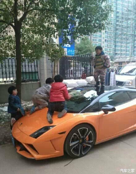 【图】熊孩子闯祸了!