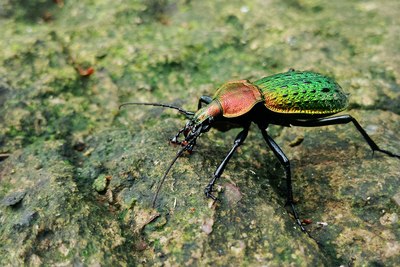 【美人记】『我的2014』Spinchen的年度总