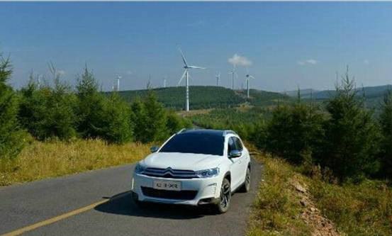 【图】莫愁前路无知己,天下谁人不识C3-XR_雪