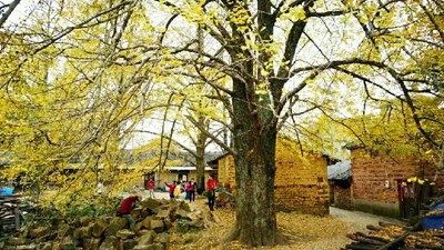 本田幻影,三年了,跑了十万公里。_摩托车论坛