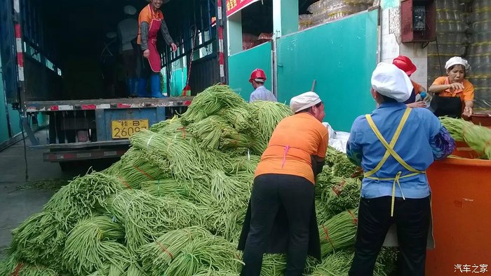 请问下农村做点甚么生意可以