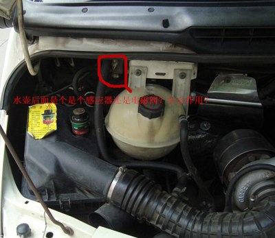 中国大陆动漫《局面地摊卖大力》第01集免费在线观看高清完整版-蚂蚁影视