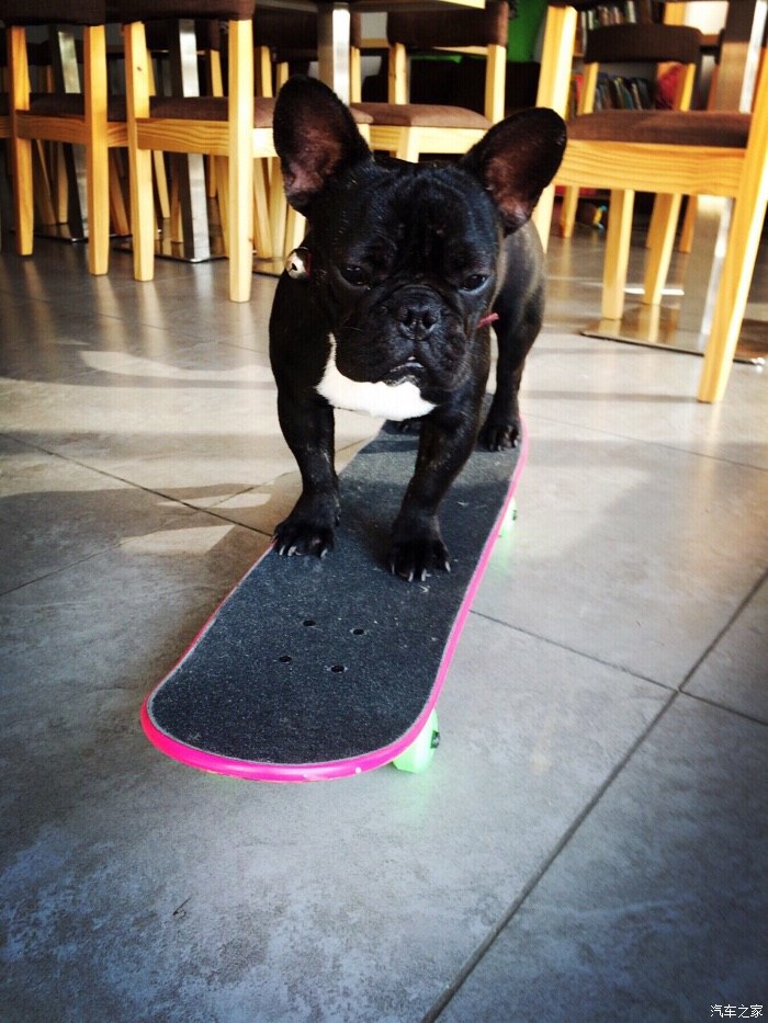 【图】黑小8学滑板~