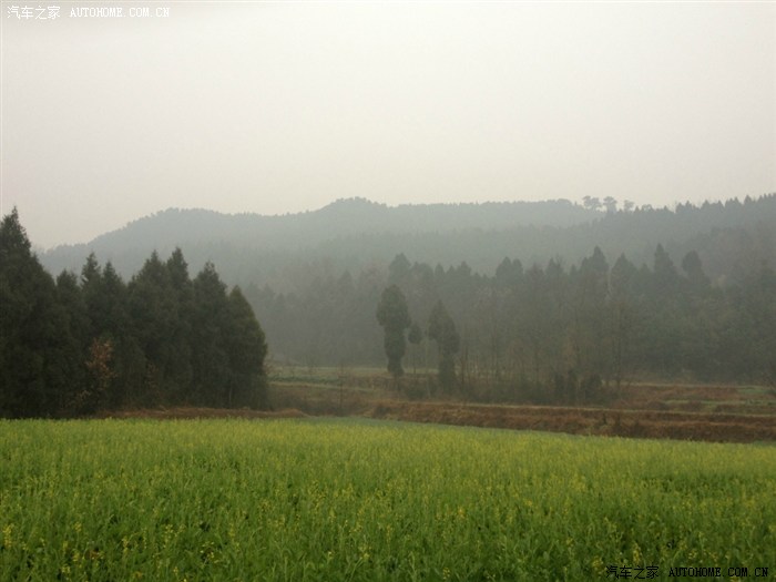 【图】【东风风行杯】2013年春节回家,大白6
