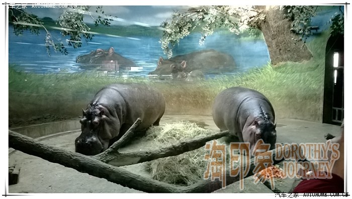 北京动物园的两栖动物馆