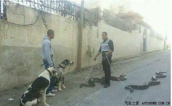 【图】有钱人不玩车