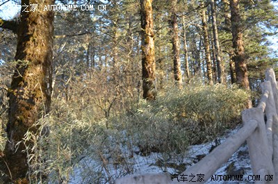 放松心情-峨眉山看日出,求精求认证。_四川