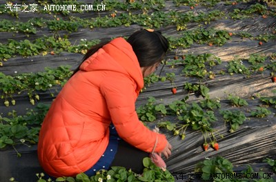 【图】劲悦团 逸路有你分会 昌平航空博物馆活