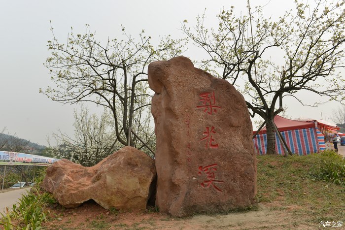 鸟语花香新津梨花溪景区