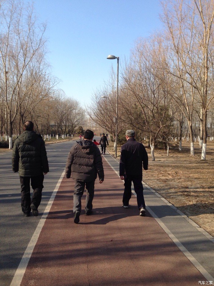 【图】元月一日,奥森公园暴走十公里