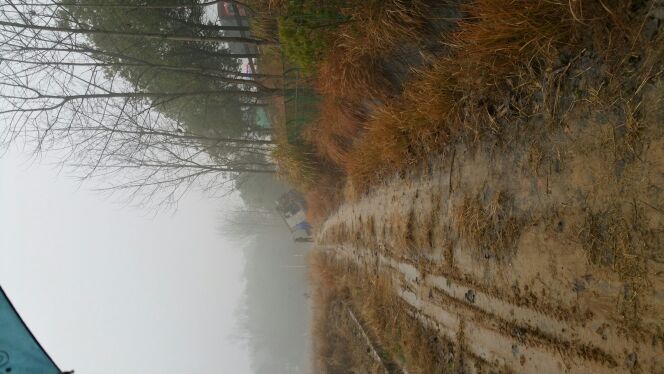 【图】出门在外安全第一望所有朋友开车平安