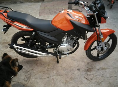 雅马哈天隼作业