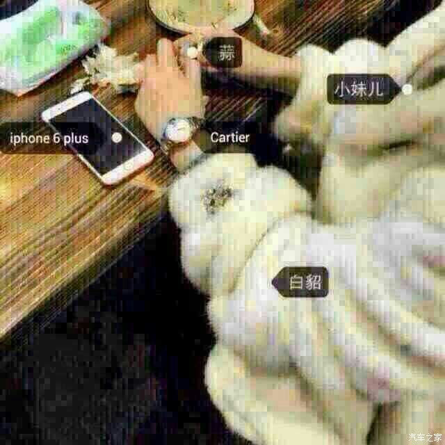 【图】论坛哪位大神有机油试纸?,附<em>扒蒜小妹</em>一