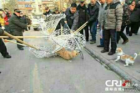 【图】无聊等待的日子,附镇楼图。_唐论坛_汽车之家论坛