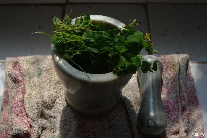 【图】向大家介绍一个专治韧带拉伤的土方子_