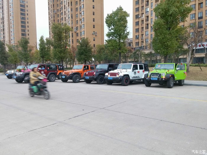 华西村人均收入_人均车拥有量(3)