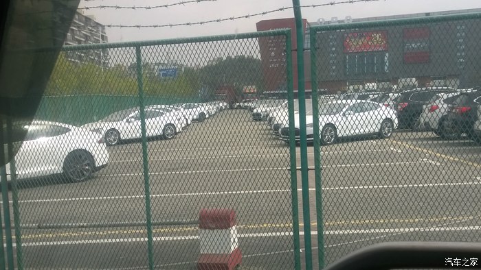 昨天在深圳华南物流拍的50辆左右