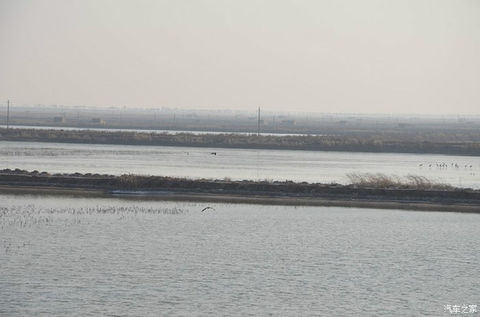 大荔县-三河湿地保护区