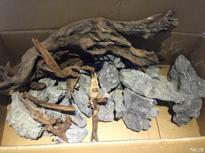 【图】水草缸 新装作业 喜欢的朋友一起来交流