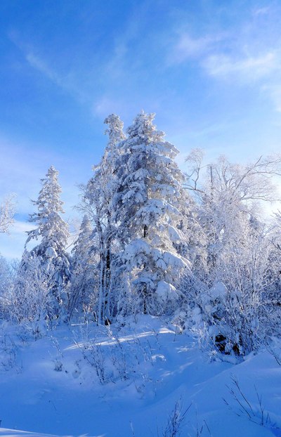 去中国最美雪乡,看梦幻雪世界