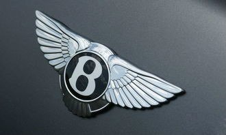 宾利车标·一个圆圈里面有个b,外边还有两个翅膀,这明明是"带你装b,带