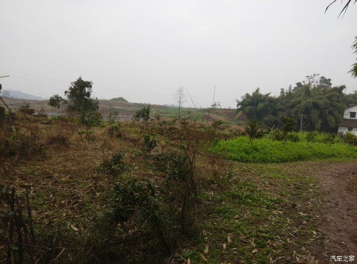 四川老家,走在乡间的小路上,分享四川农村