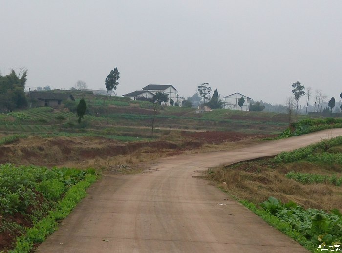 四川老家,走在乡间的小路上,分享四川农村