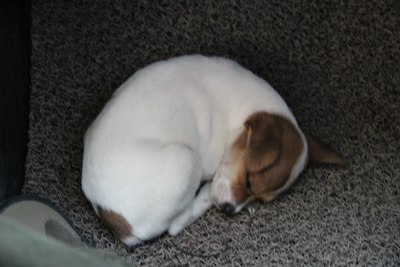 8000公里云和月,莫等闲白了少年头,空悲切