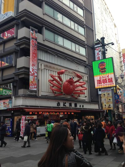 补上2015年1月16日(7天日本蜜月游)_英菲尼迪