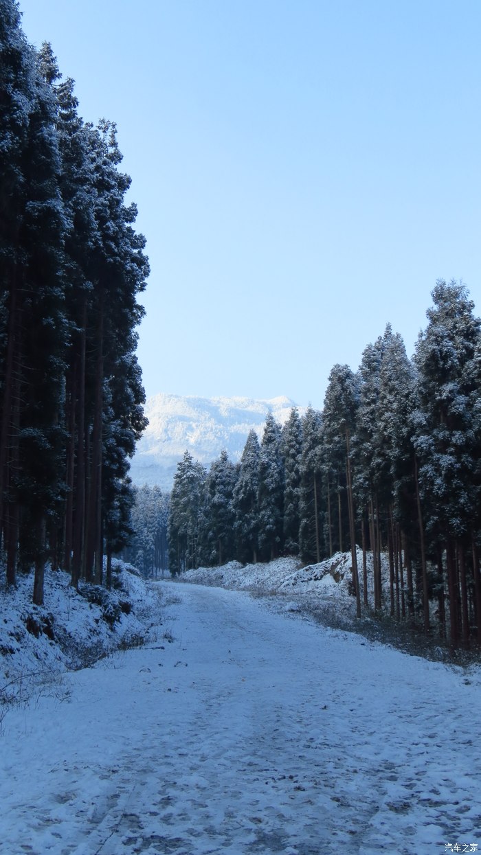 ilike徒步崇州鸡冠山感受南国雪景在首页露脸咯