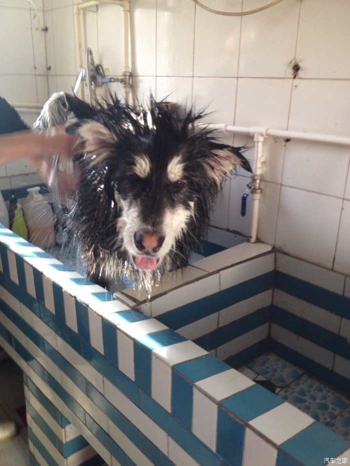 【图】CC为何销量那么差?1月才卖出4000多台