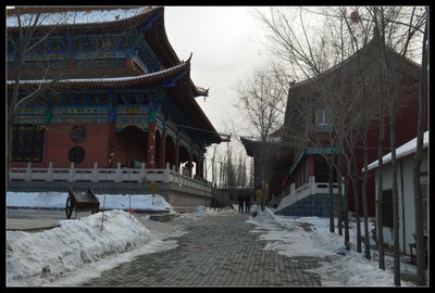 初三游米东区莲池寺