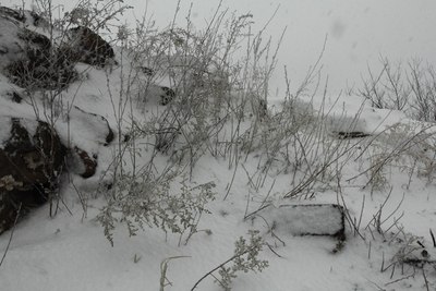 大年初三游蟠龙山长城,雾锁群山,狂风暴雪,山舞银蛇,雪照云光