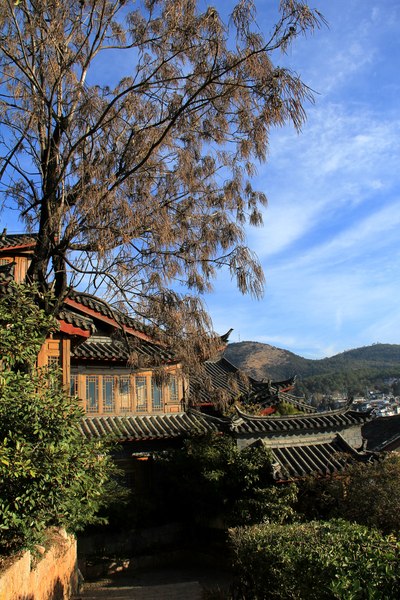 六千里路追梦七彩云南,广州至云南自驾游(全文